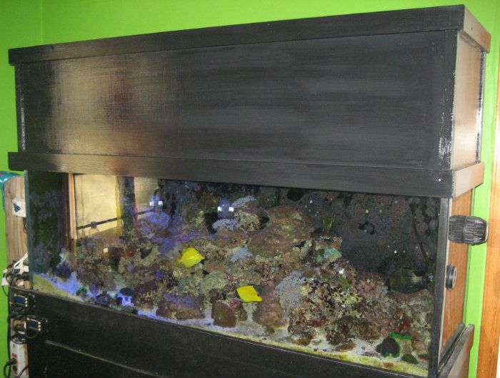 75 gallon canopy plans REEF2REEF Saltwater and Reef Aquarium Forum